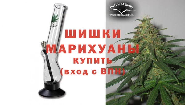 сатива Лабытнанги