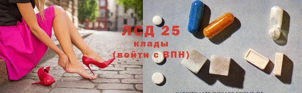 ГАЛЛЮЦИНОГЕННЫЕ ГРИБЫ Лагань