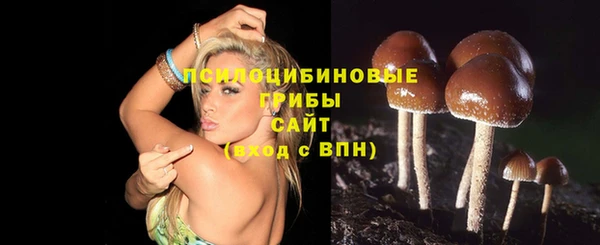 герыч Ладушкин