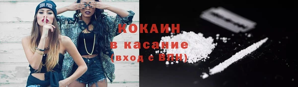 сатива Лабытнанги