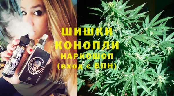 ГАЛЛЮЦИНОГЕННЫЕ ГРИБЫ Лагань
