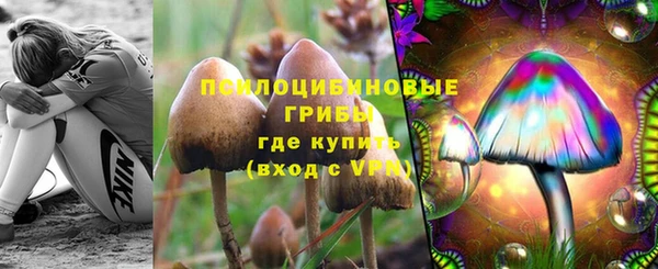 сатива Лабытнанги