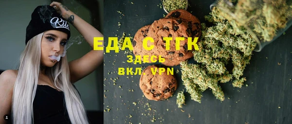 индика Семёнов