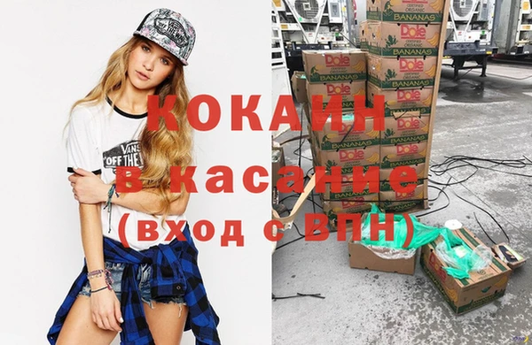 ГАЛЛЮЦИНОГЕННЫЕ ГРИБЫ Лагань