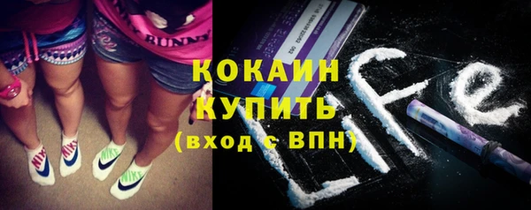 ГАЛЛЮЦИНОГЕННЫЕ ГРИБЫ Лагань