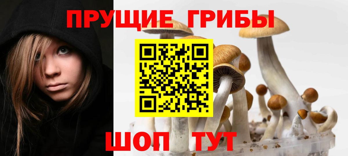 Псилоцибиновые грибы GOLDEN TEACHER  Вход с VPN  Строитель 
